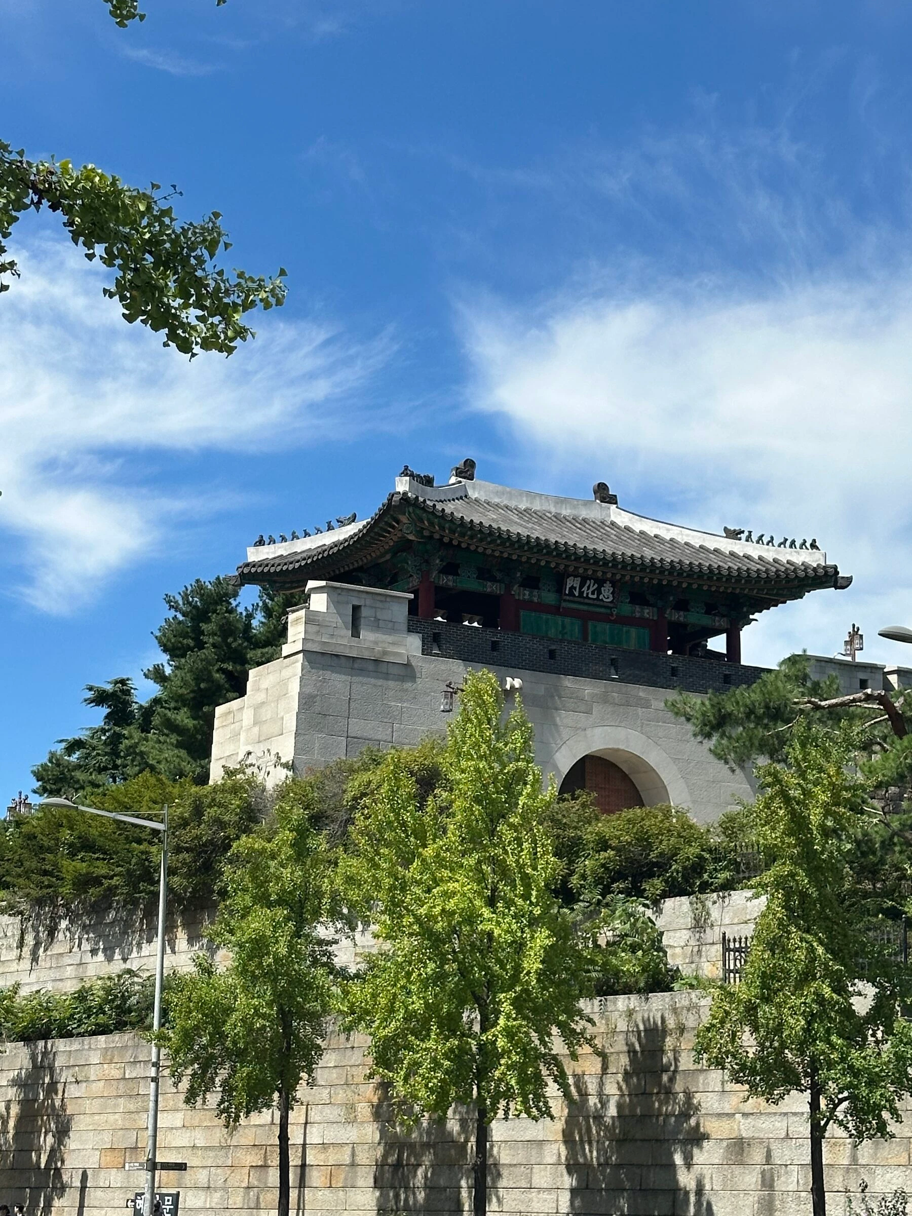 Hyehwamun, the northeast small gate of the Seoul City Wall, its painted pavilion and arched stone base standing above a bank of young ginkgo trees.