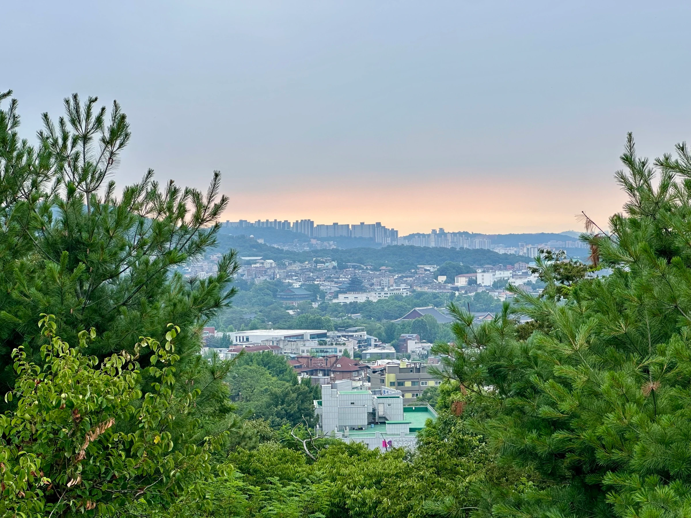 Seoul at first light seen through the pines from the Inwangsan city wall, the palace rooftops and the northern ridges beyond.