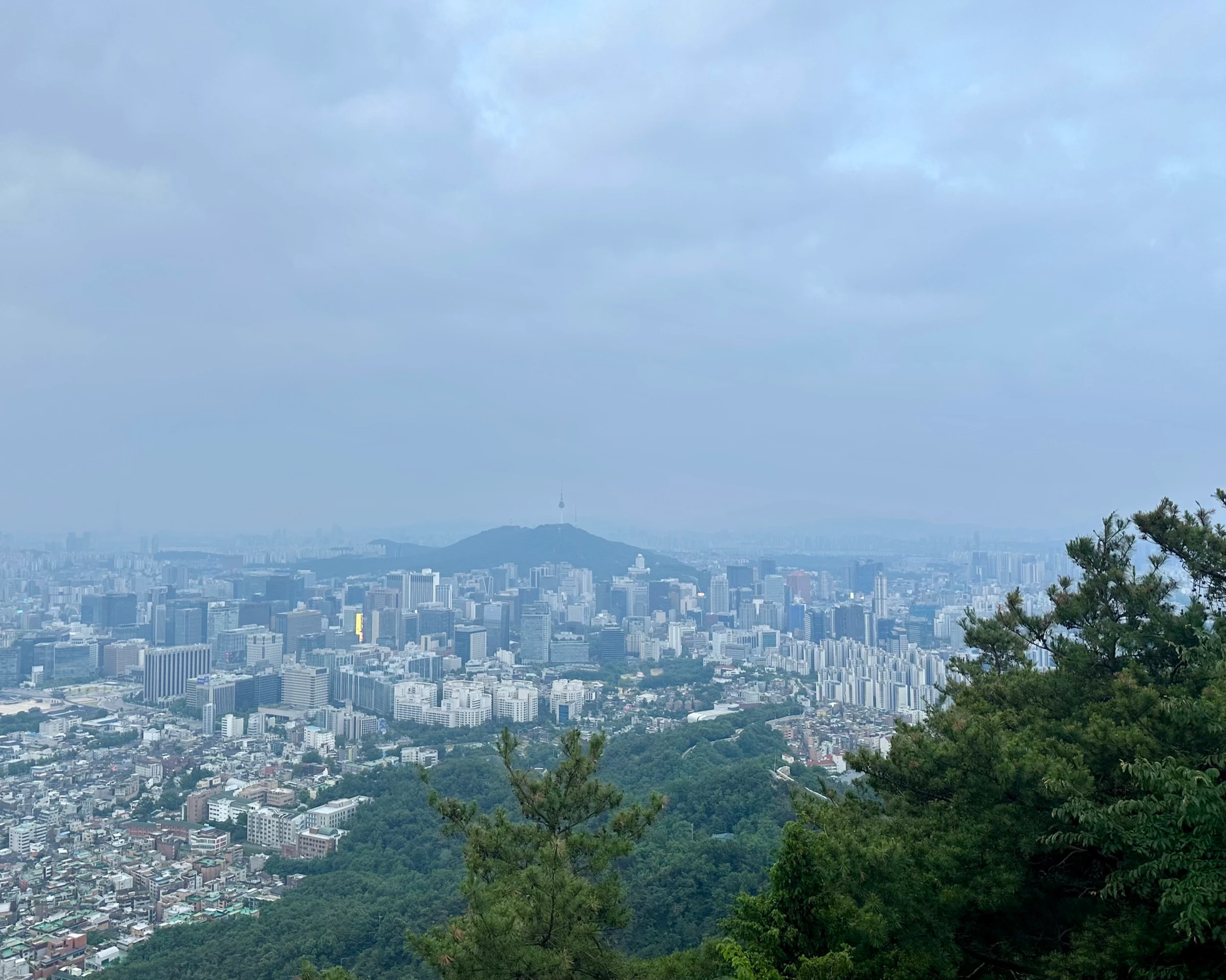 The hazy view south from high on Inwangsan across the whole of central Seoul to N Seoul Tower standing on its distant hill, framed by pine branches.