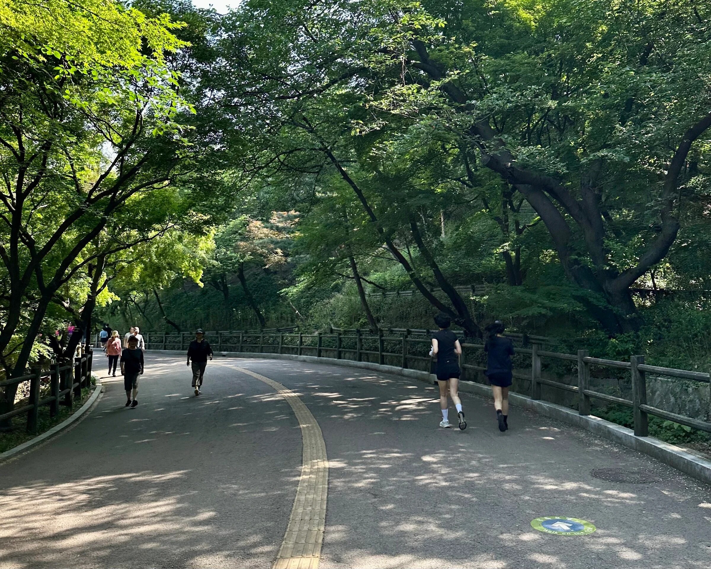 Runners and walkers spread across the wide curving Namsan hill path under a heavy summer canopy.